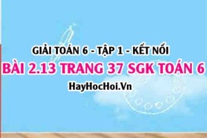 Giải bài 2.13 trang 37 Toán 6 Tập 1 SGK Kết nối tri thức